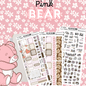PINK BEAR HOBO KIT